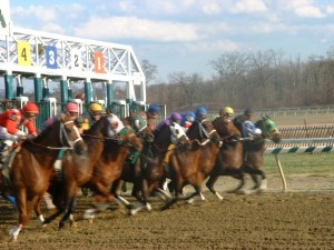 Horse Racing at Laurel Park