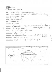Essie's transcript p2