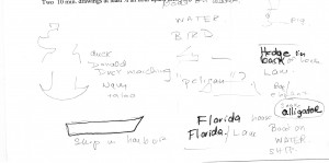 Bob's transcript